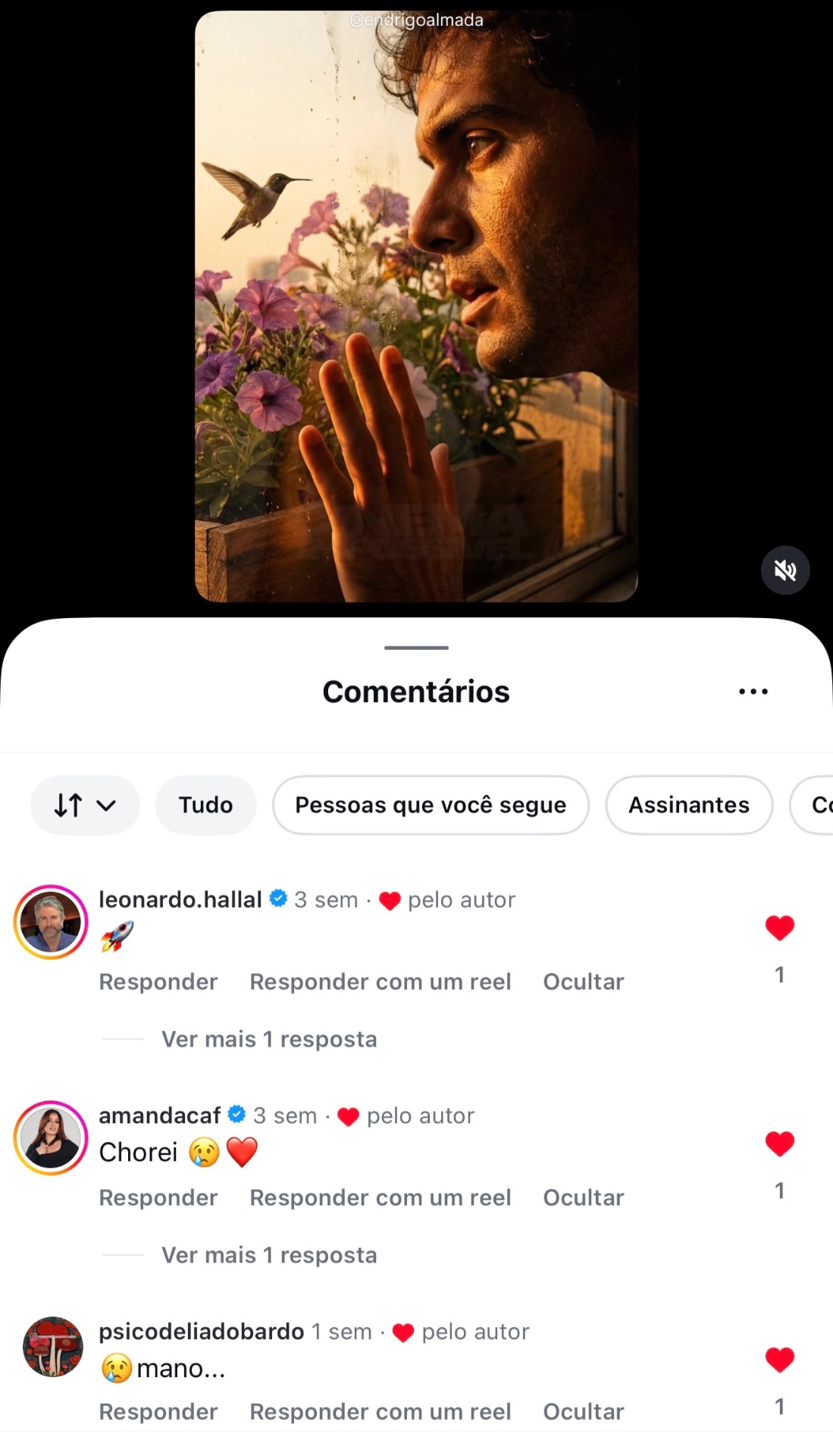 Comentário